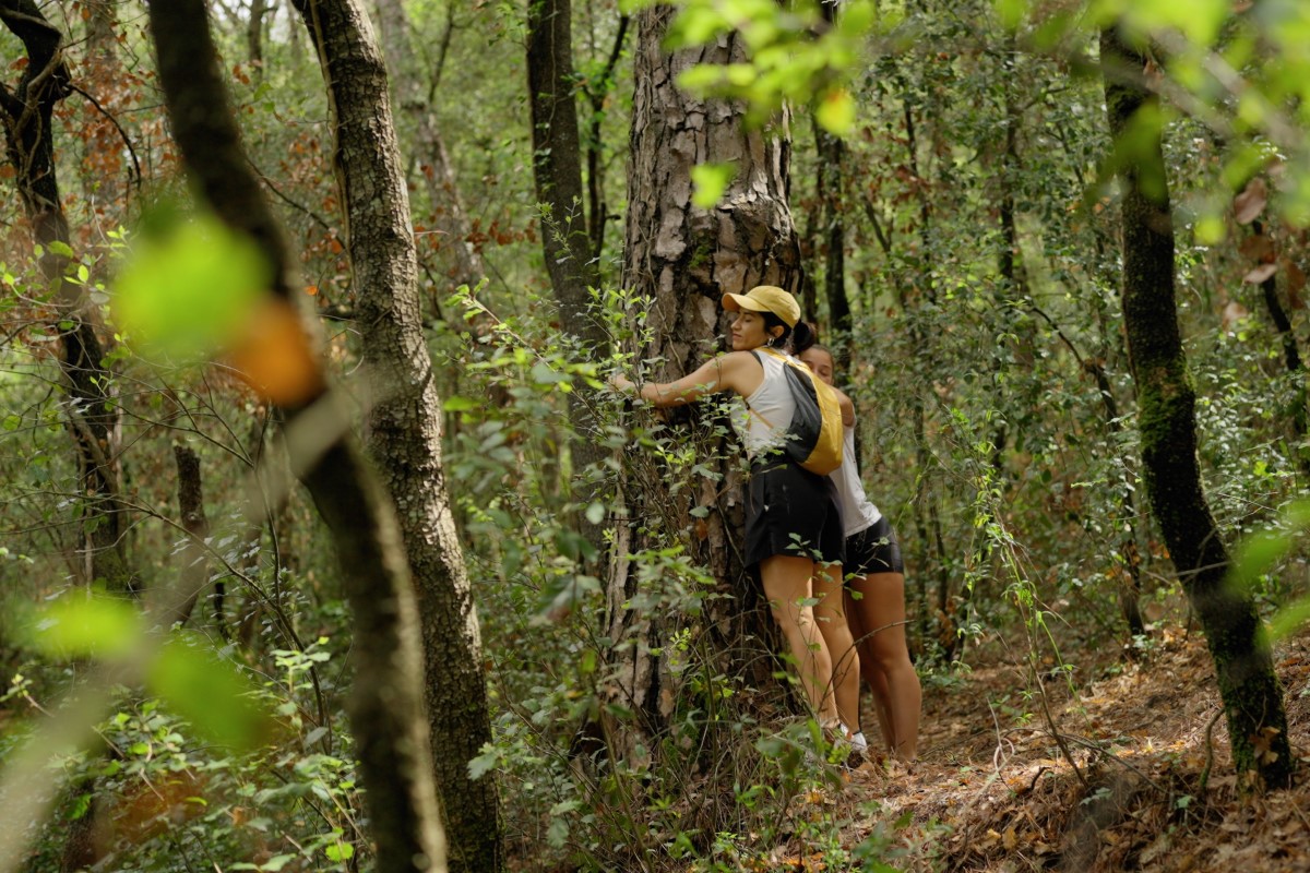 Banys de bosc al Maresme