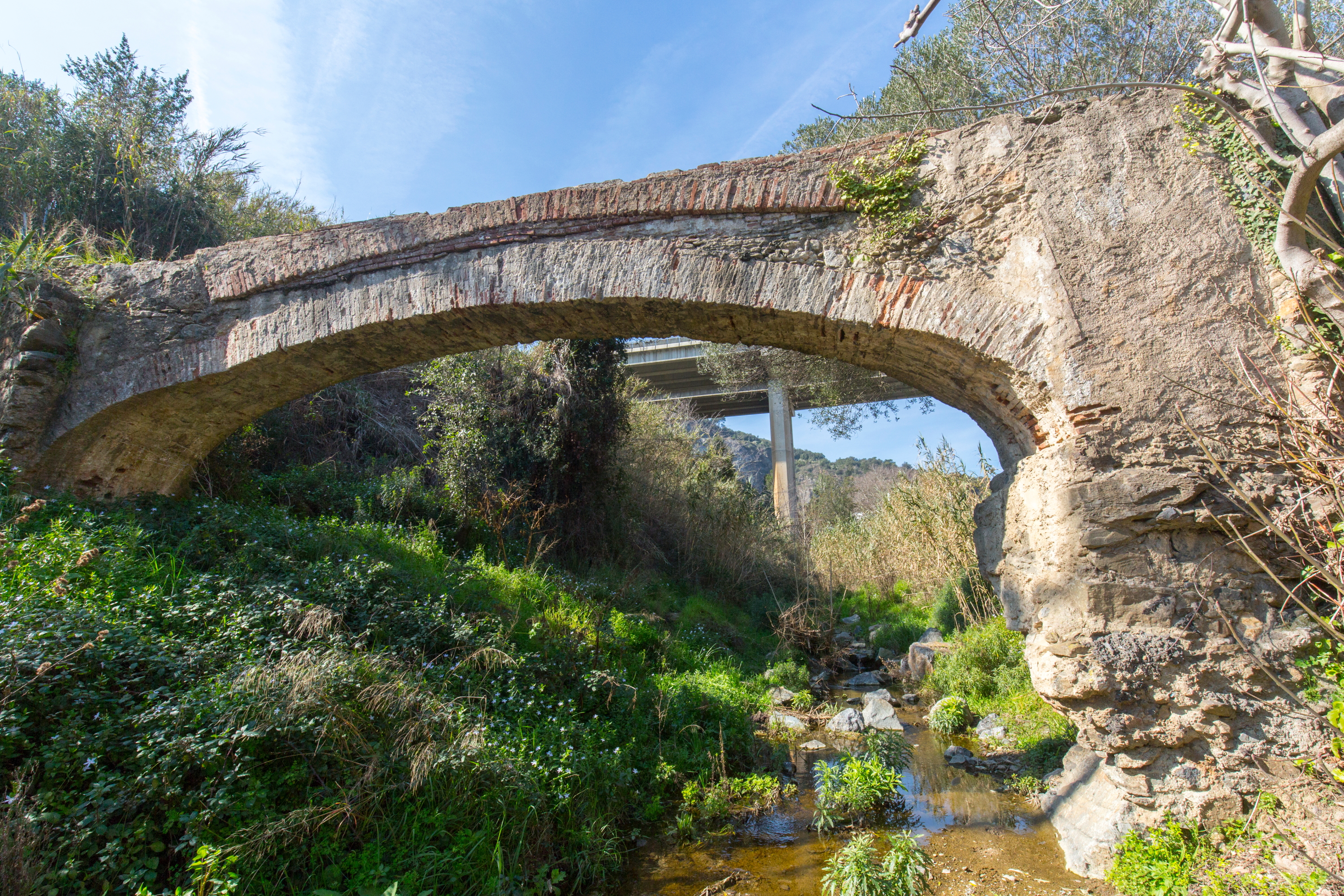Pineda de Mar