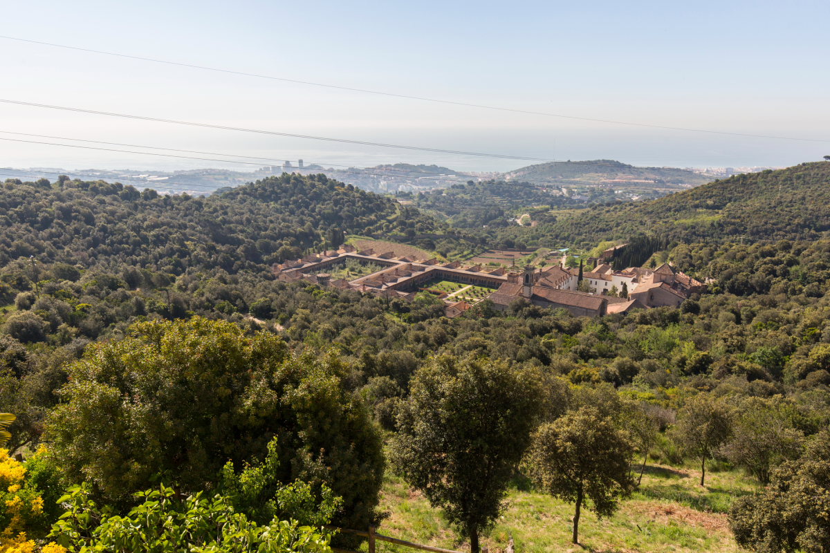 mirador Tiana