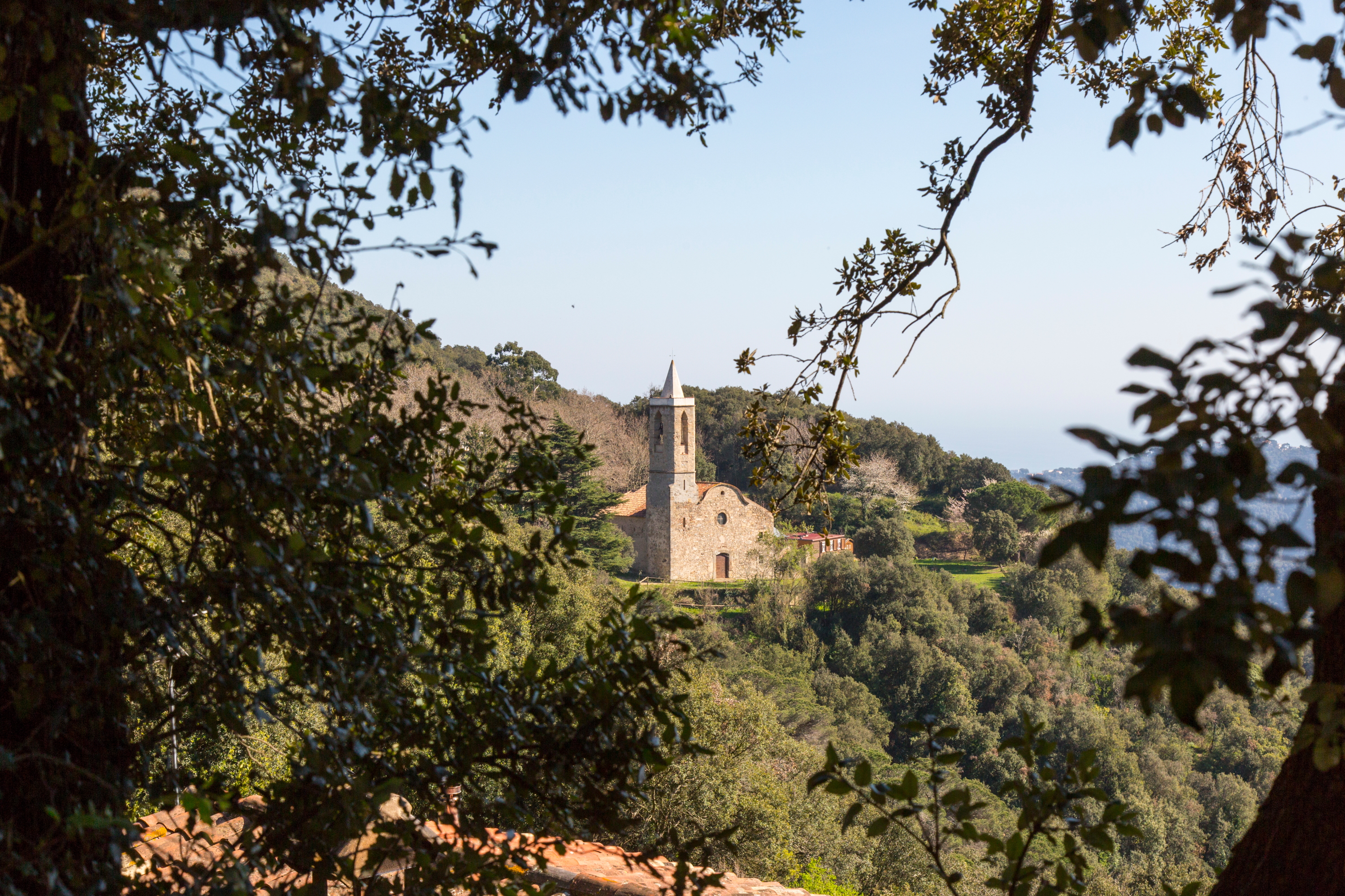 Sant Martí del Montnegre