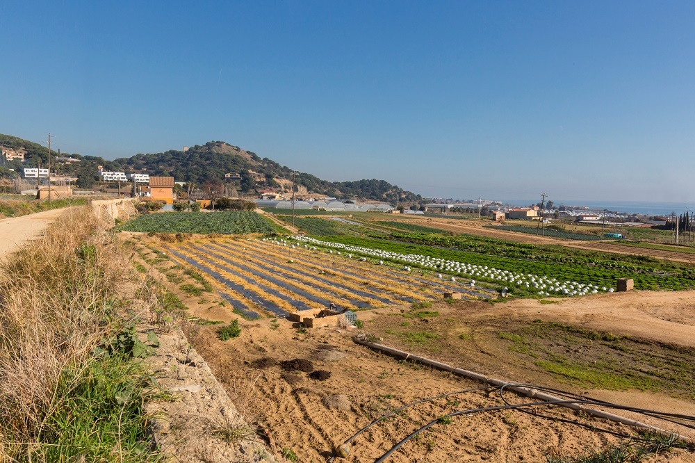 Camí de les Cinc Sènies a Mataró
