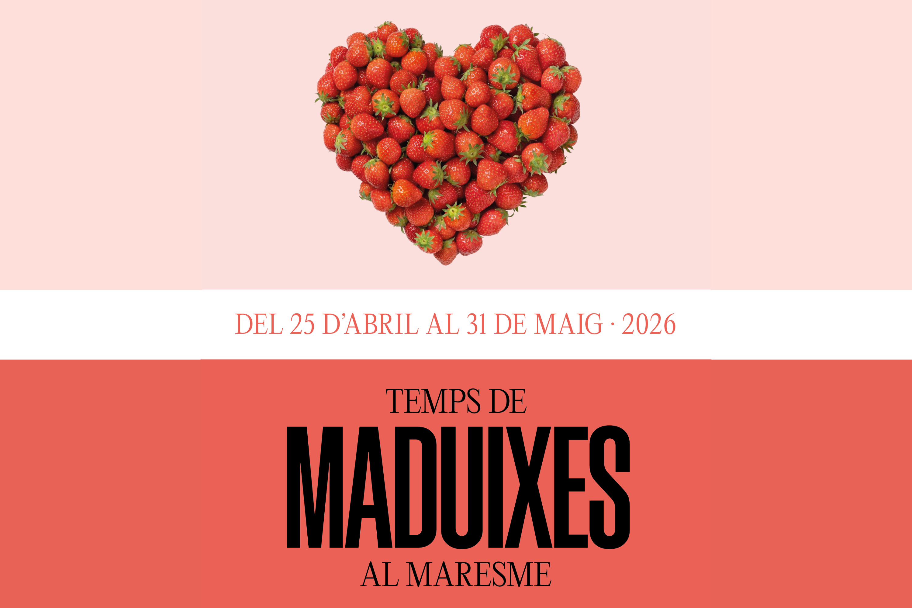 Cartell temps de maduixes